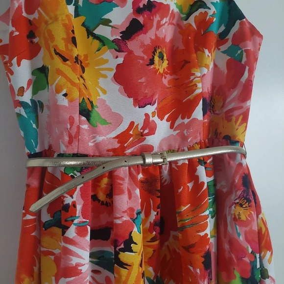 Eliza J Floral Fit to Flare Open/ Zip back belted Knee Length dress. 12 P - Picture 3 of 7